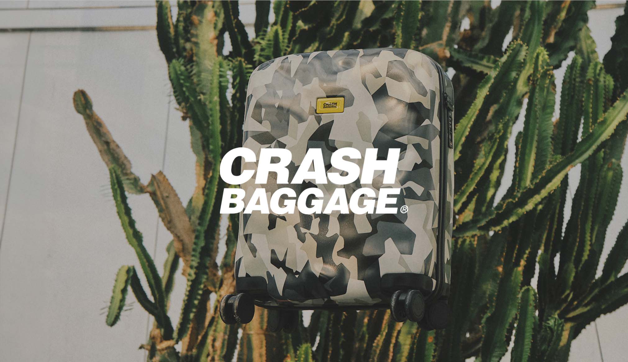 Crash Baggage